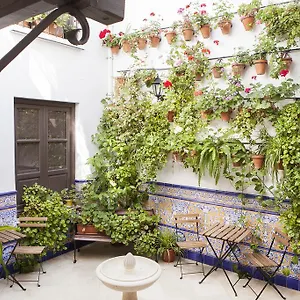 Casa De Mercedes Malaga